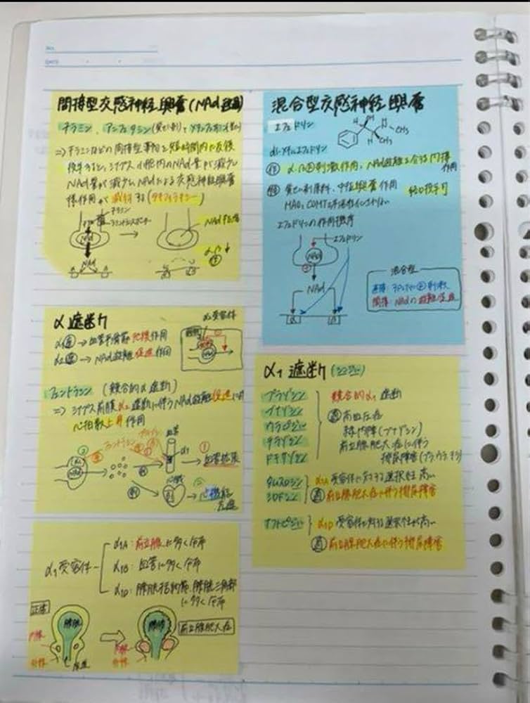 薬剤師国家試験　ゴロ集(紙冊子) 薬学ゴロ集【完全版】【紙ver】薬剤師国家試験